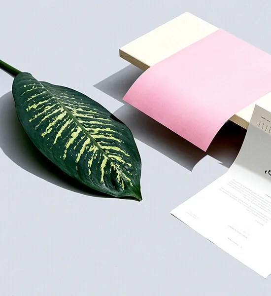It inspires productivity - 斗球