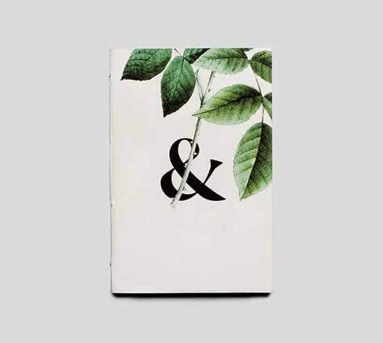 Table Decoration - 斗球